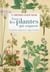 Toutes les plantes qui soignent - description, préparation, usages et bienfaits