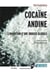 Cocaïne andine - l'invention d'une drogue globale
