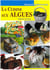 La cuisine aux algues