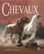 Les plus beaux chevaux du monde