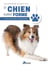 Un chien en pleine forme : santé, entretien, comportement