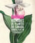 Curieuses histoires de plantes du Canada Tome 1