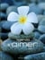 Agenda s'aimer (2011)