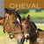 Une vie de cheval