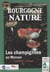 Les champignons du Morvan