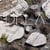 DFLA : chronologies of practice at dermot foley landscape architects