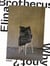 Elina brotherus why not? /anglais/allemand
