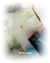 Alex grein we were here /anglais/allemand/portugais