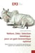 Nellore, Zebu: Sélection Génétique pour un gain économique optimal : Détermination de la spécificité génétique par rapport aux standards de la race Nelore