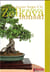 Zelkova bonsai - l'art de donner forme à la nature