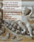 The art and industry decoration in Europe : From the late 16th to the early 18th century
