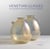Venetian glasses - the carla nasci and ferruccio franzoia collection