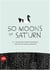 50 moons of saturn (turin triennial 2008)