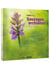 Sauvages orchidées