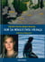 Sur la route des Vikings : Danemark, Pays-bas, Belgique, Normandie