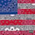 All-Amerikkkan Bada$$