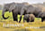 Elephants en afrique (calendrier mural 2021 din a4 horizontal) - les elephants d'afrique sont imposa