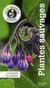 Plantes sauvages - identifier 100 espèces