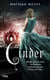 Les Chroniques lunaires Tome 1 : Cinder