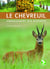 Le chevreuil - aménagement des biotopes