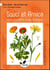 Souci et arnica - soleils des jardins et des montagnes