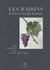 Les raisins de Pierre-Joseph Redouté : des aquarelles pour l'avenir de la vigne