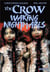 The Crow : Waking Nightmares