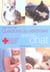 Questions au veterinaire - special chat