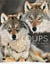 Loups - un mythe vivant