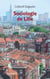 Sociologie de Lille