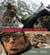 Commandos parachutistes, au coeur de l'action