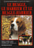Le beagle, le harrier et le beagle harrier