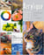 Acrylique : 300 Techniques, Trucs Et Astuces