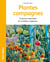Plantes compagnes - bonnes associations, rotation des cultures et remèdes végétaux