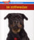 Le rottweiler