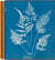 Anna Atkins : cyanotypes