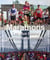 Marathons: Les Plus Beaux Parcours Du Monde
