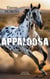 Appaloosa