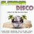 Summer disco