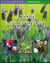 Jardin sans entretien