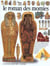 Le roman des momies