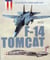 Les avions de combat américains - grumman f-14 tomcat au combat (1972-2006)