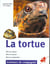 La tortue