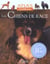 Les chiens de race