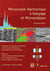 Microscopie électronique à balayage et microanalyses