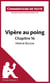 Vipère au poing d'Hervé Bazin : Chapitre 16