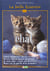 La belle histoire du chat