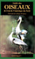 Guide des oiseaux de l'Est de l'Amerique du Nord