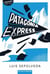 Patagonia express