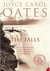 The falls